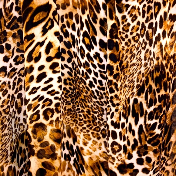 🤎 Sheer Maxi Skirt | Cheetah Print | Flowy - Picture 2 of 6